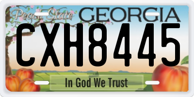 GA license plate CXH8445