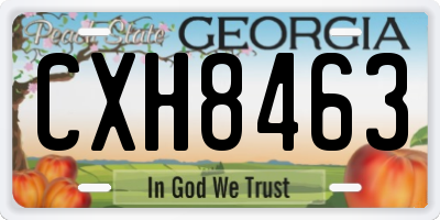 GA license plate CXH8463