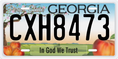 GA license plate CXH8473