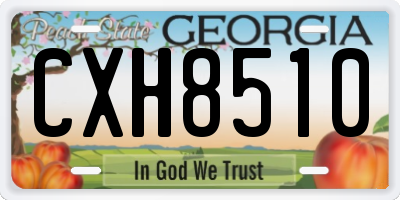 GA license plate CXH8510