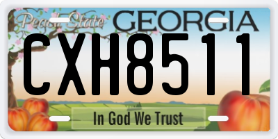 GA license plate CXH8511