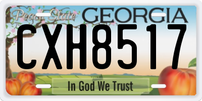 GA license plate CXH8517