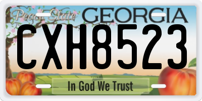 GA license plate CXH8523