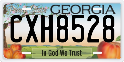 GA license plate CXH8528