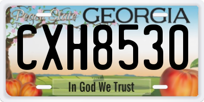 GA license plate CXH8530