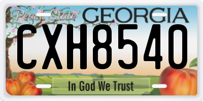 GA license plate CXH8540