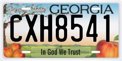 GA license plate CXH8541