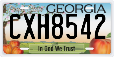 GA license plate CXH8542