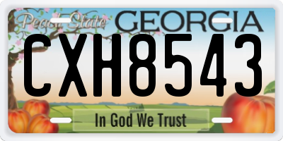 GA license plate CXH8543