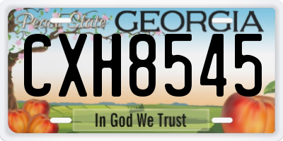 GA license plate CXH8545