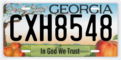 GA license plate CXH8548