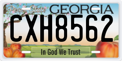 GA license plate CXH8562