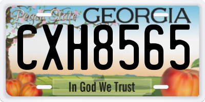 GA license plate CXH8565