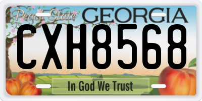 GA license plate CXH8568