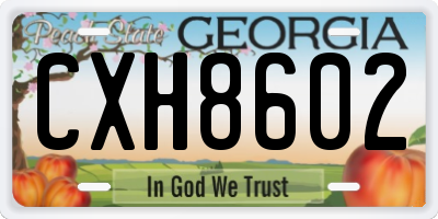GA license plate CXH8602