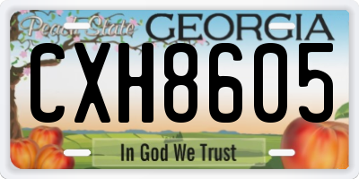 GA license plate CXH8605