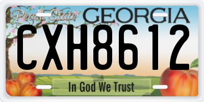 GA license plate CXH8612