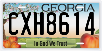 GA license plate CXH8614