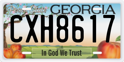 GA license plate CXH8617