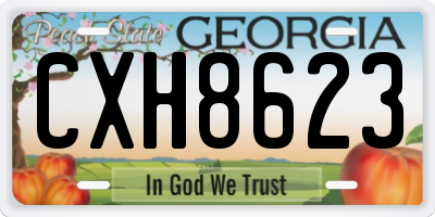 GA license plate CXH8623