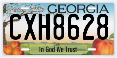 GA license plate CXH8628