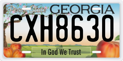 GA license plate CXH8630