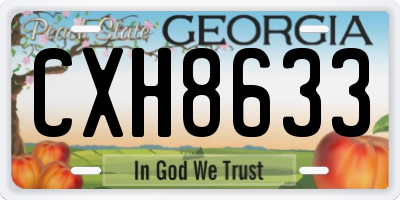 GA license plate CXH8633