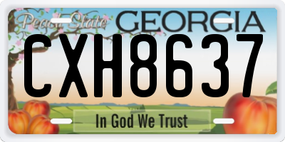 GA license plate CXH8637