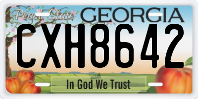GA license plate CXH8642