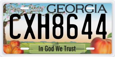 GA license plate CXH8644