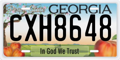 GA license plate CXH8648