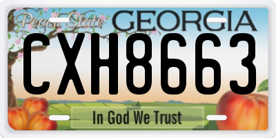 GA license plate CXH8663