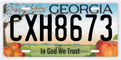 GA license plate CXH8673