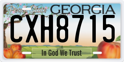 GA license plate CXH8715