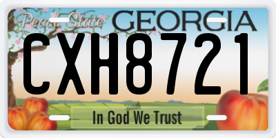 GA license plate CXH8721
