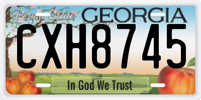 GA license plate CXH8745