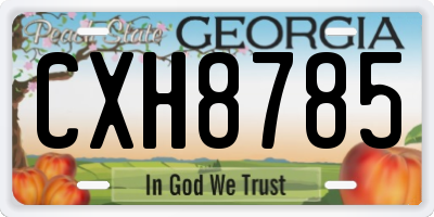 GA license plate CXH8785