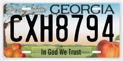 GA license plate CXH8794