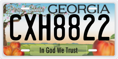 GA license plate CXH8822