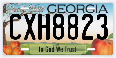 GA license plate CXH8823