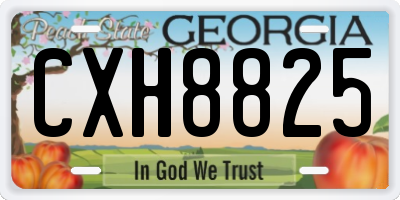 GA license plate CXH8825