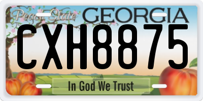 GA license plate CXH8875