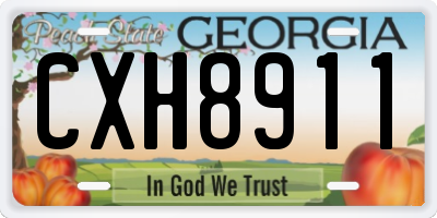 GA license plate CXH8911