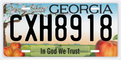 GA license plate CXH8918