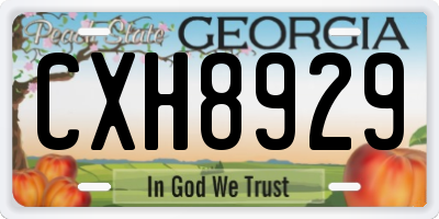 GA license plate CXH8929