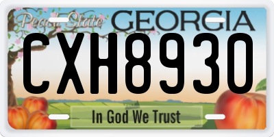 GA license plate CXH8930