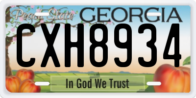 GA license plate CXH8934