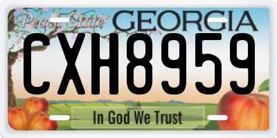 GA license plate CXH8959