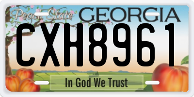 GA license plate CXH8961