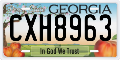 GA license plate CXH8963